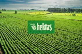 HEKTAŞ