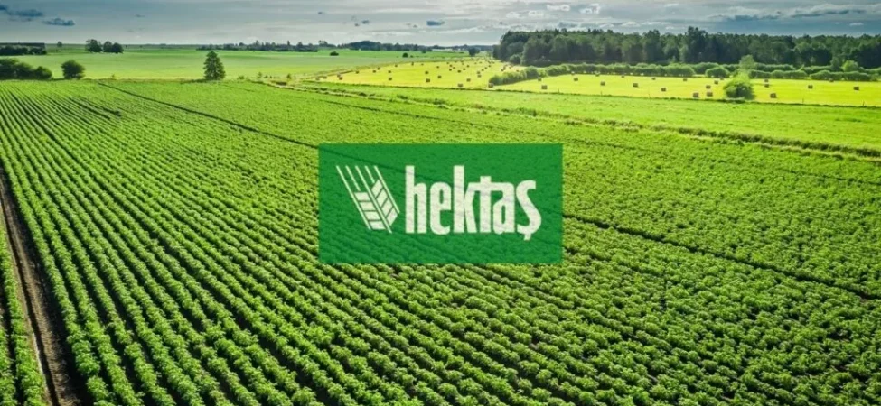 HEKTAŞ