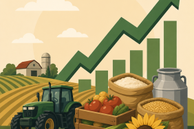 Tarım-GFE ağustosta yıllık yüzde 30,28 yükseldi