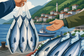 Rize Pazar’da iri palamutun üçü 100 TL’ye indi